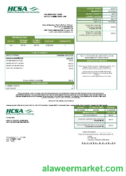 USA Virginia HCSA business utility bill template in Word and PDF formats